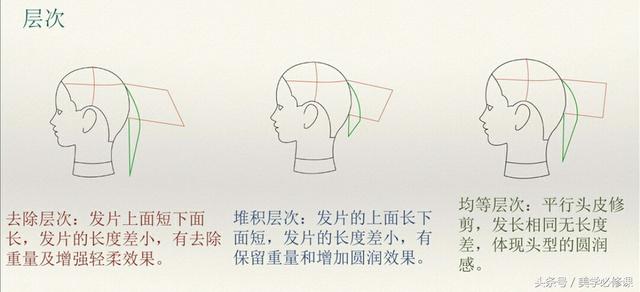 发型师必须要掌握的9大剪发技巧 ！，剪发基本手法（剪发必修课：掌握7点“分区）