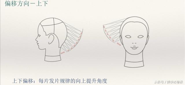 发型师必须要掌握的9大剪发技巧 ！，剪发基本手法（剪发必修课：掌握7点“分区）