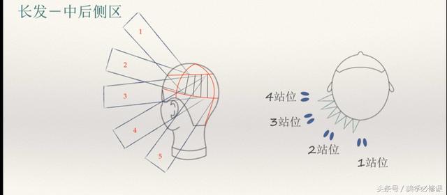 发型师必须要掌握的9大剪发技巧 ！，剪发基本手法（剪发必修课：掌握7点“分区）