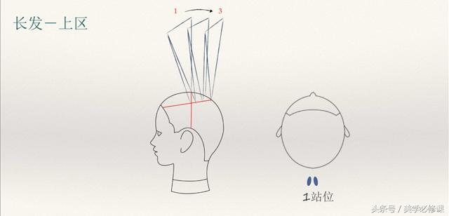发型师必须要掌握的9大剪发技巧 ！，剪发基本手法（剪发必修课：掌握7点“分区）