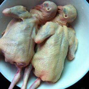 圖片[2]-【黃芪當歸乳鴿湯】做法步驟圖 秋季常喝這道湯 甘潤溫養 補氣-起舞食譜網