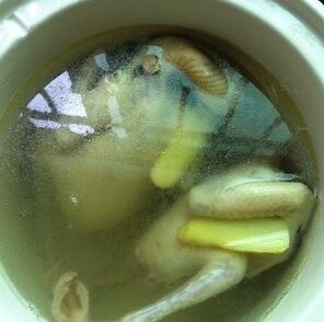 圖片[4]-【黃芪當歸乳鴿湯】做法步驟圖 秋季常喝這道湯 甘潤溫養 補氣-起舞食譜網