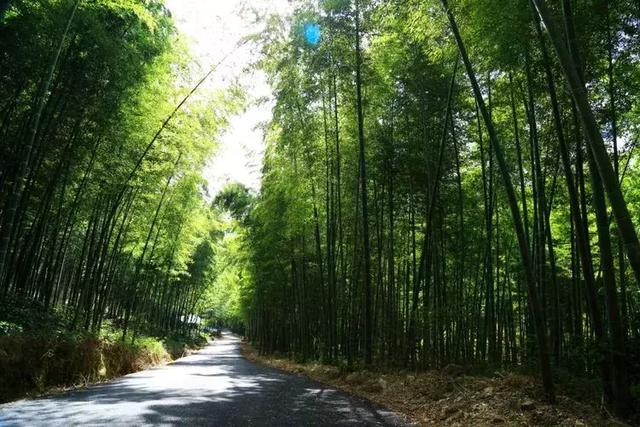 九峰山风景区在哪里,九峰在哪里(青山、绿水、翠竹、钟声……这里尽有的) 九峰山风景区在哪里,九峰在哪里(青山、绿水、翠竹、钟声……这里尽有的)