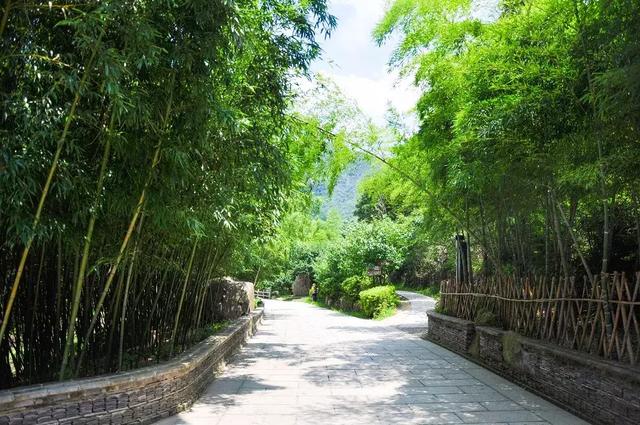 九峰山风景区在哪里,九峰在哪里(青山、绿水、翠竹、钟声……这里尽有的) 九峰山风景区在哪里,九峰在哪里(青山、绿水、翠竹、钟声……这里尽有的)