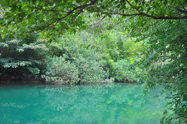 九峰山风景区在哪里,九峰在哪里(青山、绿水、翠竹、钟声……这里尽有的) 九峰山风景区在哪里,九峰在哪里(青山、绿水、翠竹、钟声……这里尽有的)