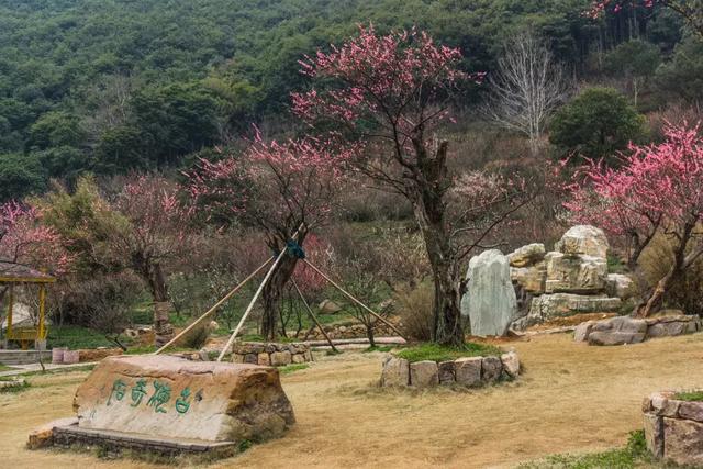 九峰山风景区在哪里,九峰在哪里(青山、绿水、翠竹、钟声……这里尽有的) 九峰山风景区在哪里,九峰在哪里(青山、绿水、翠竹、钟声……这里尽有的)