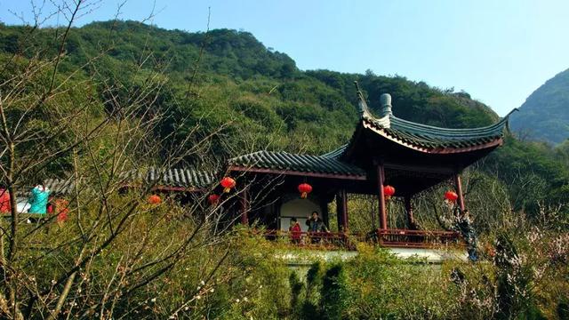 九峰山風景區在哪裡,九峰在哪裡(青山,綠水,翠竹,鐘聲……這裡盡有的)