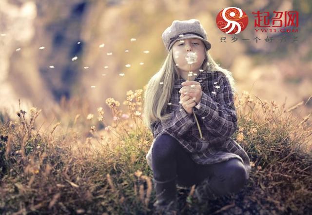 丹字的部首是什么啊，丹字的部首是什么啊怎么读（五行属火最吉利的字）