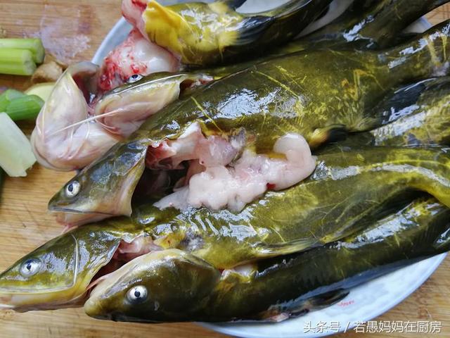 红烧昂刺鱼怎么烧，红烧昂刺鱼烧雪菜家常做（这鱼适合孩子吃）