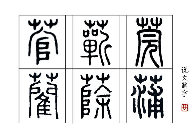 蒲什么意思解释,蒲字笔画笔顺(古代女子为啥说自己蒲柳之姿)