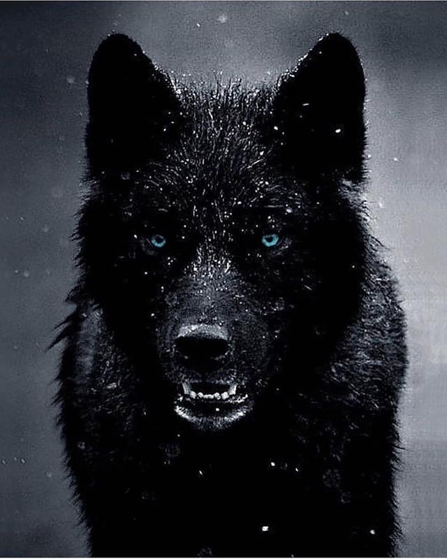 黑色头像纯黑，黑色头像（ins高清黑色黄色粉色蓝色控壁纸微信头像图集大全）