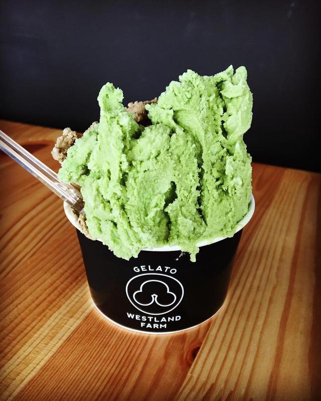 黑色头像纯黑，黑色头像（ins高清黑色黄色粉色蓝色控壁纸微信头像图集大全）