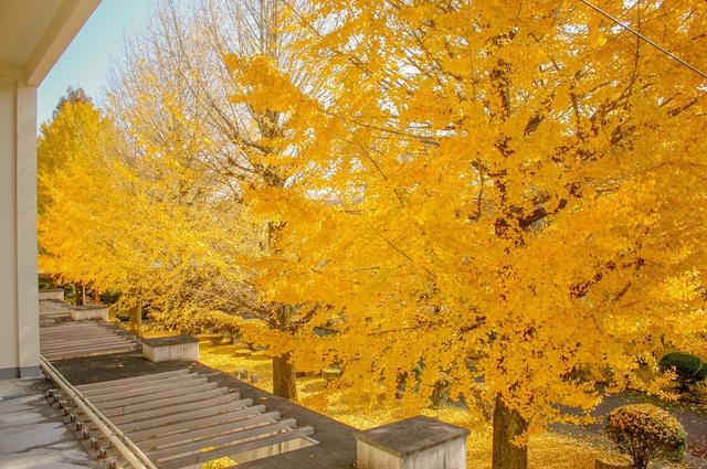 黑色头像纯黑，黑色头像（ins高清黑色黄色粉色蓝色控壁纸微信头像图集大全）