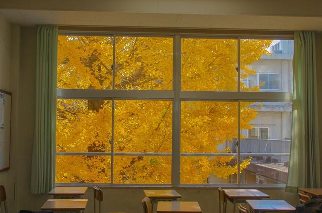 黑色头像纯黑，黑色头像（ins高清黑色黄色粉色蓝色控壁纸微信头像图集大全）