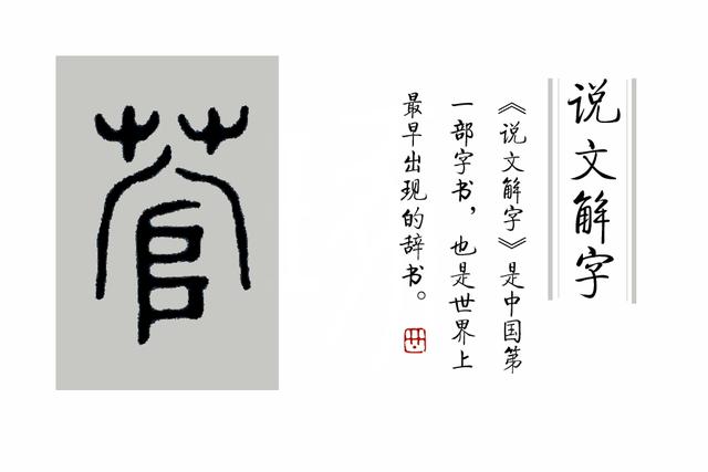 蒲柳之姿什么意思，蒲柳之姿的意思（古代女子为啥说自己“蒲柳之姿”）