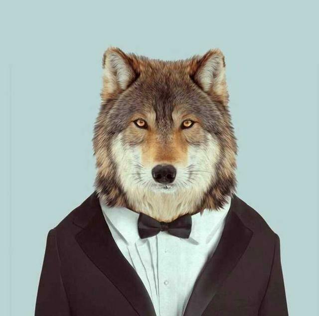 绅士 动漫男生头像 愿喜.时至今日 依然没有想好要成为什么样的大人微信，绅士 动漫男生头像 愿喜.时至今日 依然没有想好要成为什么样的大人（绅士头像第二波，速速拿去）