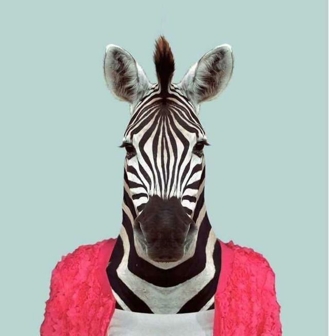 绅士 动漫男生头像 愿喜.时至今日 依然没有想好要成为什么样的大人微信，绅士 动漫男生头像 愿喜.时至今日 依然没有想好要成为什么样的大人（绅士头像第二波，速速拿去）