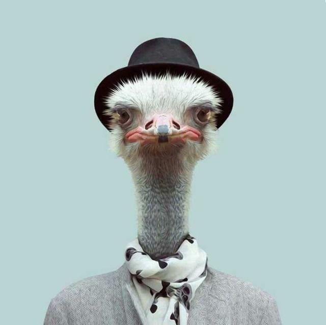 绅士 动漫男生头像 愿喜.时至今日 依然没有想好要成为什么样的大人微信，绅士 动漫男生头像 愿喜.时至今日 依然没有想好要成为什么样的大人（绅士头像第二波，速速拿去）