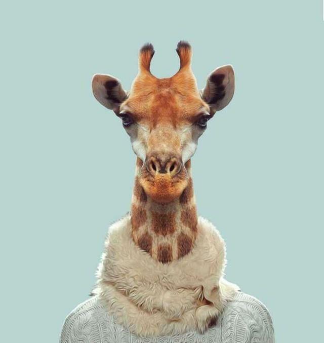 绅士 动漫男生头像 愿喜.时至今日 依然没有想好要成为什么样的大人微信，绅士 动漫男生头像 愿喜.时至今日 依然没有想好要成为什么样的大人（绅士头像第二波，速速拿去）