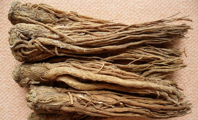 蒲柳之姿什么意思，蒲柳之姿的意思（古代女子为啥说自己“蒲柳之姿”）