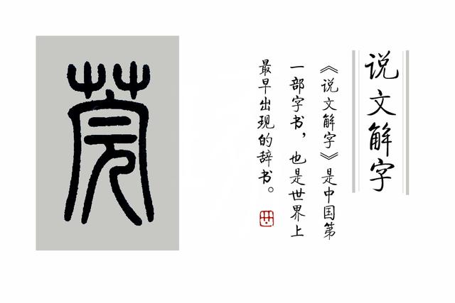 蒲柳之姿什么意思，蒲柳之姿的意思（古代女子为啥说自己“蒲柳之姿”）