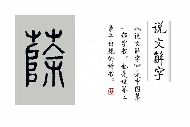 蒲柳之姿什么意思，蒲柳之姿的意思（古代女子为啥说自己“蒲柳之姿”）