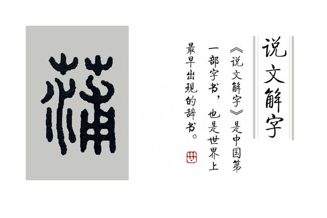 蒲柳之姿什么意思，蒲柳之姿的意思（古代女子为啥说自己“蒲柳之姿”）