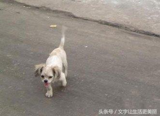 世态炎凉是什么意思，人生无常世态炎凉是什么意思（如果遇到亲戚冷漠了你）