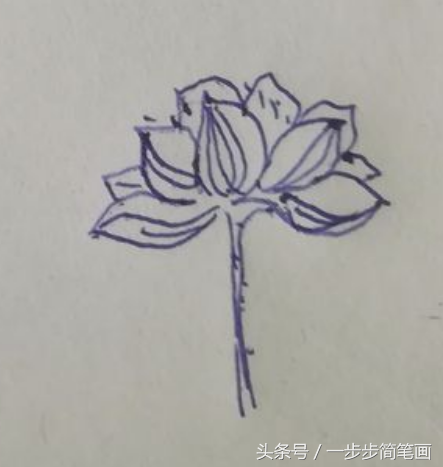 荷叶荷花图片简笔画，教你画带荷叶的荷花的简笔画（少儿简笔画一学就会：荷花）