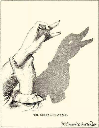 手影，手影动作 儿童简单（手影全集，教给孩子吧！图片）