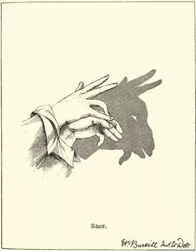 手影，手影动作 儿童简单（手影全集，教给孩子吧！图片）