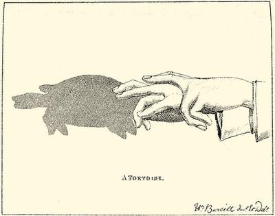 手影，手影动作 儿童简单（手影全集，教给孩子吧！图片）