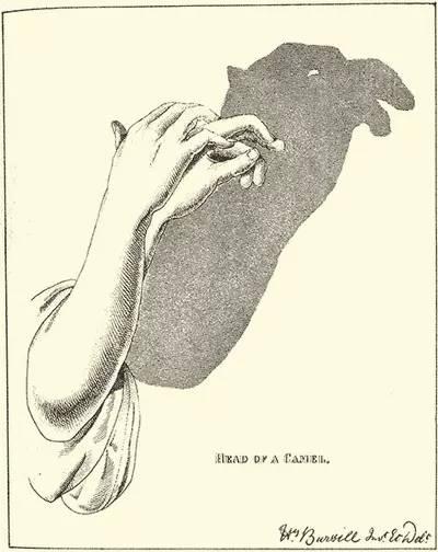 手影，手影动作 儿童简单（手影全集，教给孩子吧！图片）