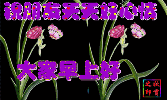 早安金句分享，早安心语每日金句（早上好问候语大全祝福朋友）