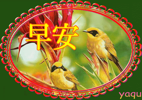 早安金句分享，早安心语每日金句（早上好问候语大全祝福朋友）