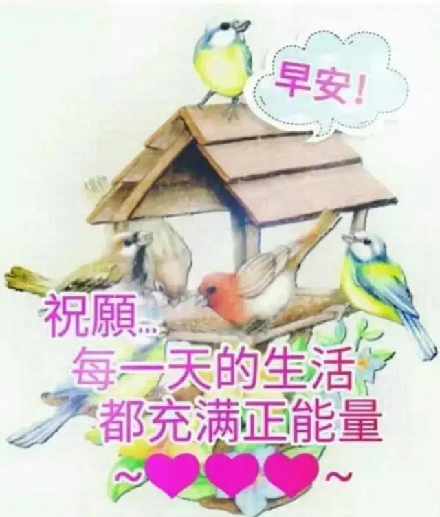 早安金句分享,早安心语每日金句(早上好问候语大全祝福朋友) 早安金句分享,早安心语每日金句(早上好问候语大全祝福朋友)