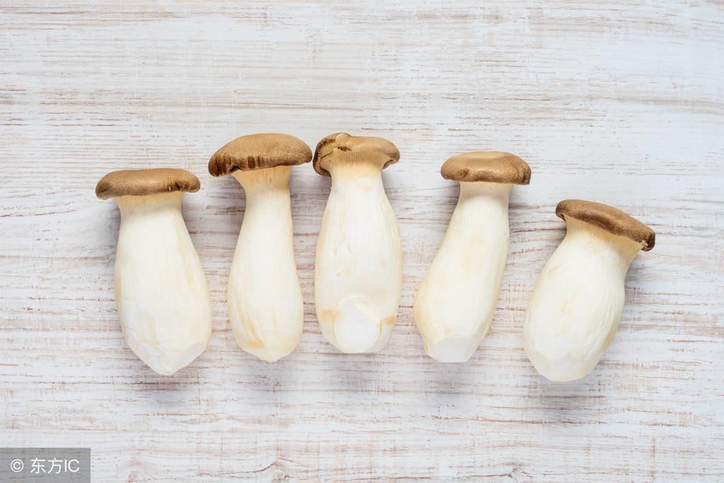 大厨教你杏鲍菇的做法 这样做 比鲍鱼还美味-起舞食谱网