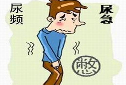 尿頻 尿急 夜尿多好難受！不用花錢 有它就能治！-起舞食譜網