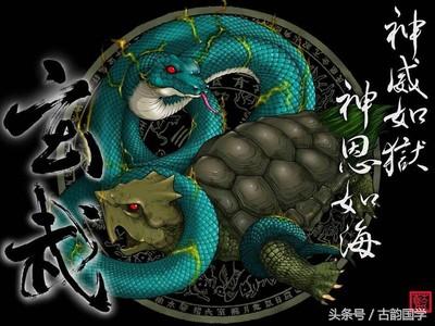 神兽是什么意思，女生神兽是什么意思（中国古代神话神兽大全）