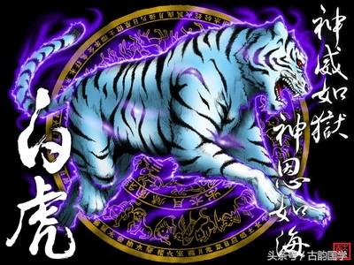 神兽是什么意思，女生神兽是什么意思（中国古代神话神兽大全）