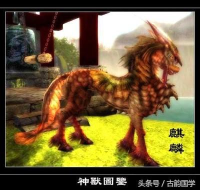 神兽是什么意思，女生神兽是什么意思（中国古代神话神兽大全）