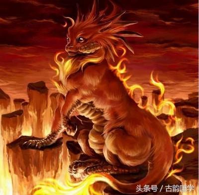 神兽是什么意思，女生神兽是什么意思（中国古代神话神兽大全）