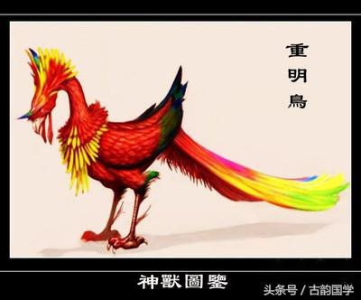 神兽是什么意思，女生神兽是什么意思（中国古代神话神兽大全）