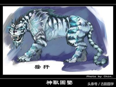 神兽是什么意思，女生神兽是什么意思（中国古代神话神兽大全）