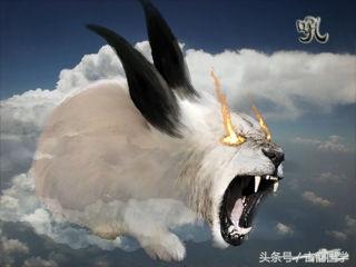 神兽是什么意思，女生神兽是什么意思（中国古代神话神兽大全）
