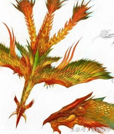 神兽是什么意思，女生神兽是什么意思（中国古代神话神兽大全）