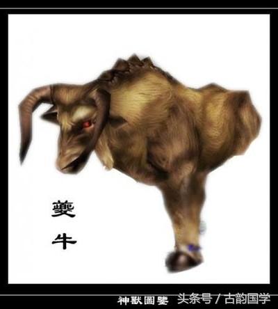神兽是什么意思，女生神兽是什么意思（中国古代神话神兽大全）