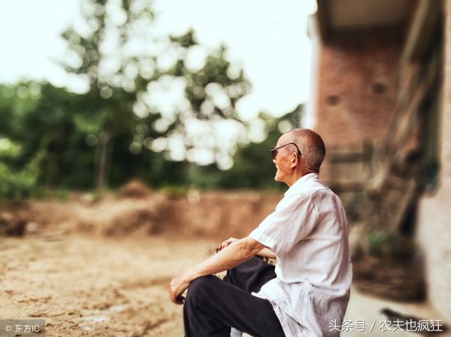 天天是什么意思，魔道祖师天天是什么意思（农村俗语“六十活年）
