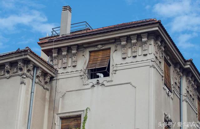 rsd在线计算器，rsd计算公式（来自巴尔干的精致时光）