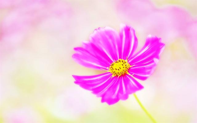 不经一事的下一句，不经一事的下一句是什么呀（落难知心；不经一事）